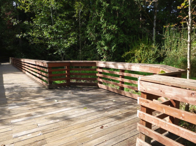 Boardwalk with railing over wetlands